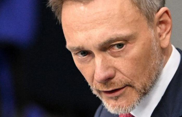 Christian Lindner: Politician accidentally crossed a dog
