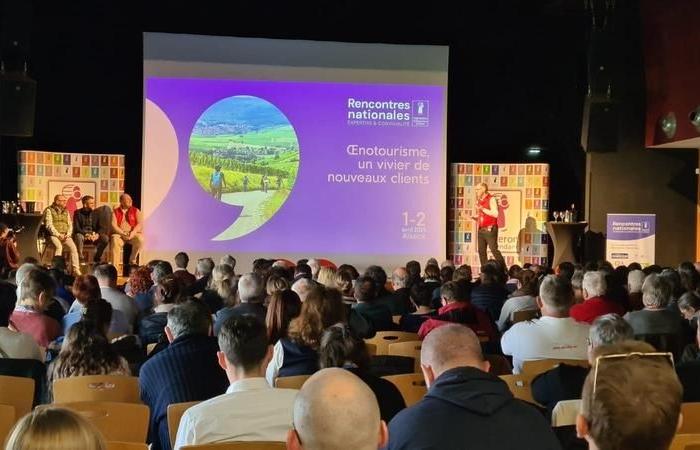 How to gain power in wine tourism?