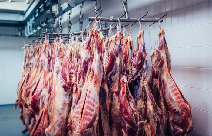 The Swiss have already eaten “too much meat” in 2025