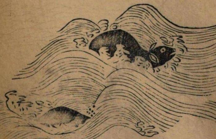 The millennial history of the Yangtsé porpoises told by Chinese poets