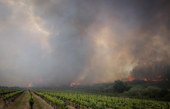 Faced with the mega -fired era, the firefighters’ budget must be doubled – official