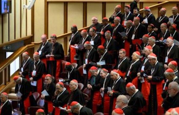 Vatican: election of the new pope: conclave, user manual