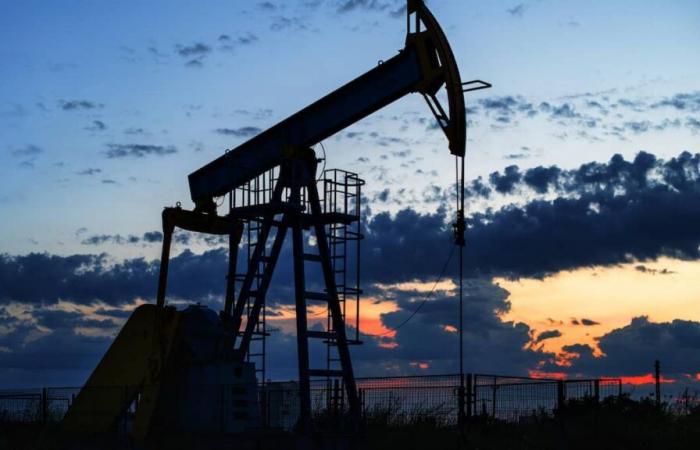 Markets: oil falls after OPEC+ announcements
