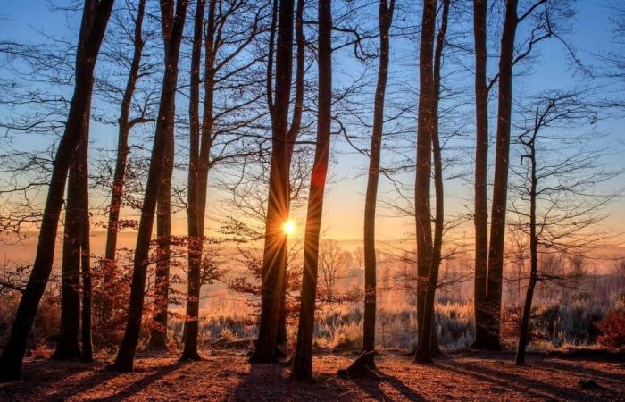 What is the weather in this summer? Météo France unveils its first trends for May, June and July