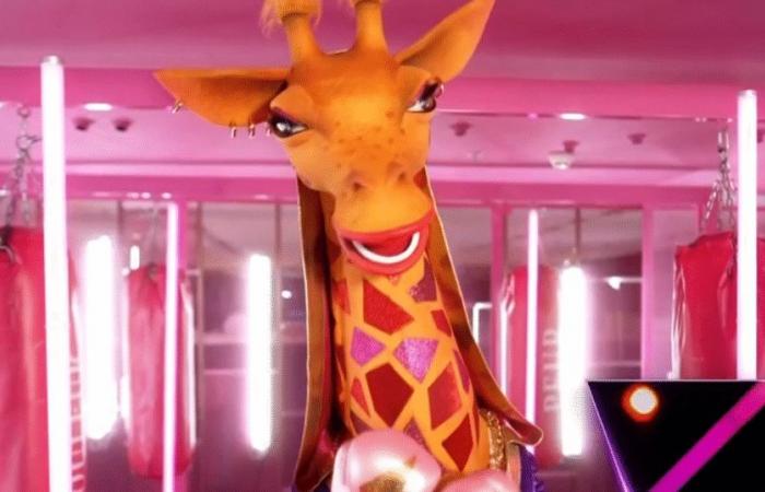 Mask Singer 2025: The first indices on the giraffe unveiled, Kev Adams could be on the right track