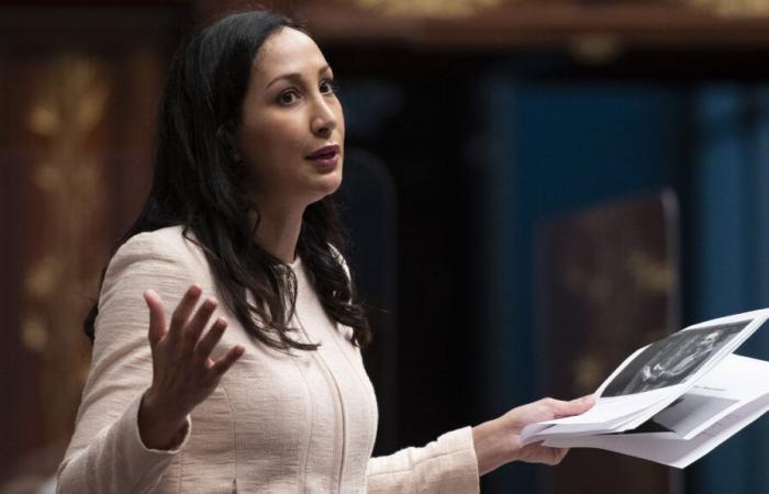 PLQ chiefdom: Marwah Rizqy puts herself behind Pablo Rodriguez
