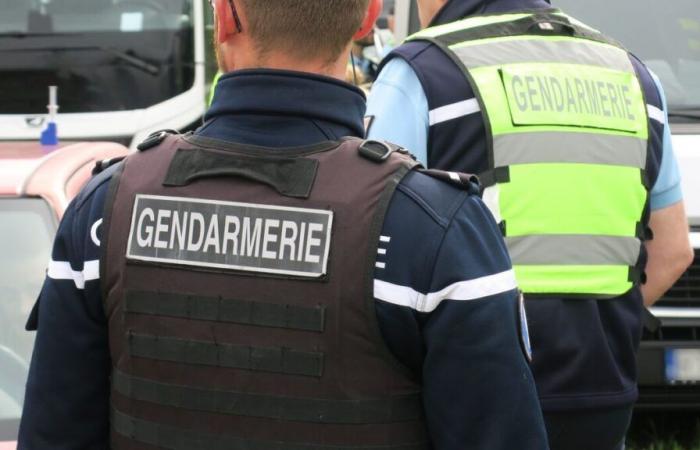 Mortal accident in the Oise: the vehicle ends crushed after having uprooted two trees