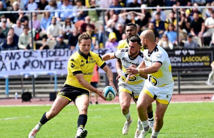 Rugby-Narbonne-Carcassonne semi-final in national: after its victorious dam, against Albi, the USC will be able to rely on a solid and full group