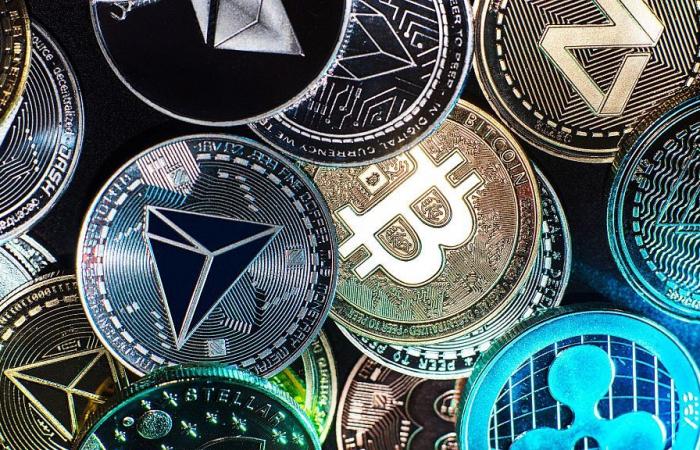 Kidnappé, the father of a cryptocurrency entrepreneur saved by the police