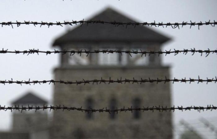 The death of thousands of Spaniards in Nazi camps will be investigated by the prosecution