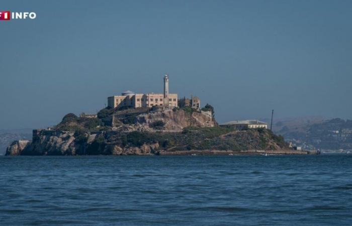Alcatraz: Is it true that no one has ever escaped from this mythical prison that Trump wants to reopen?