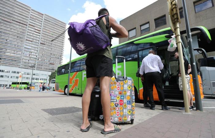 Car, train, plane or bus? Here is the best way to go on vacation this summer (comparison)