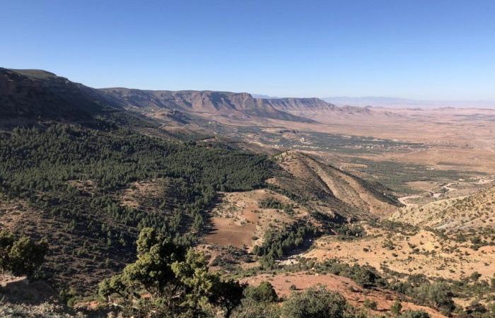 A first Moroccan: Tendrara gas mapped by artificial intelligence