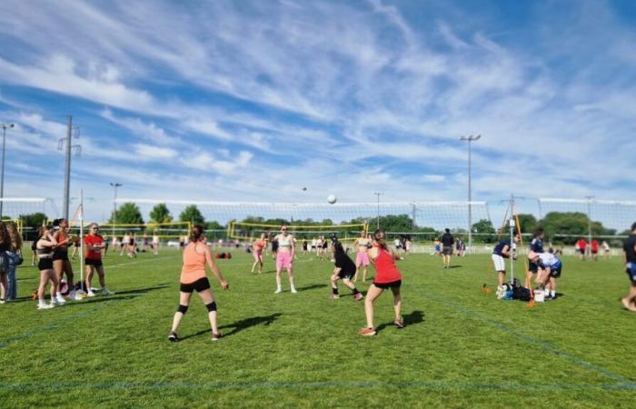 In Joué-lès-Tours, the herb tournament of the volleyball club continues to attract