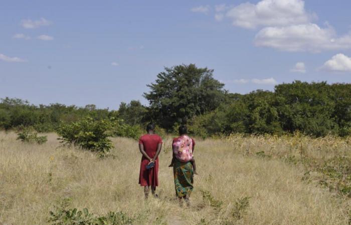 Africans designate their governments as the main responsible for climate action