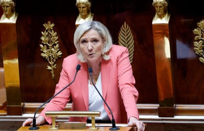 : True or false the multi-year energy programming will “increase consumers’ bills by 100%, as Marine Le Pen says?