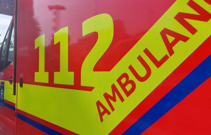 A man and a dog who died in an accident near Lorraine, two other people seriously injured