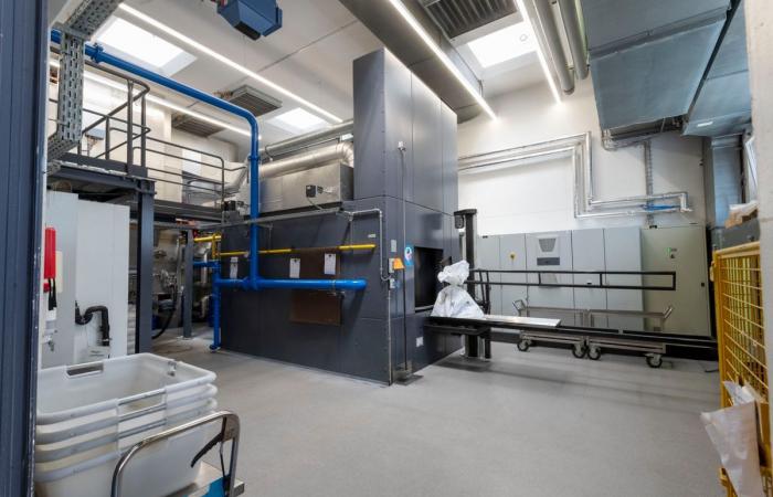 Contested infrastructure: The animal crematorium opened in Nyon
