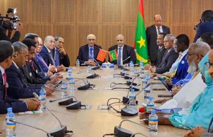 parliamentary diplomacy at the heart of a strategic rapprochement