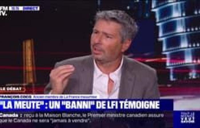 “If rebellious France arrives tomorrow in power, the functioning of French society will be much more democratic than under Emmanuel Macron”