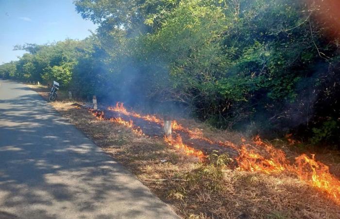 Proactively prevent forest fires during the dry season in the Hong Phong region