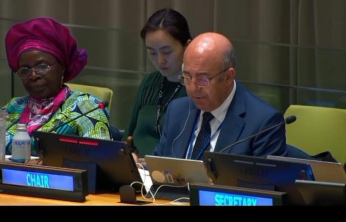 Morocco chairs the 20ᵉ session of the United Nations Forum on Forests