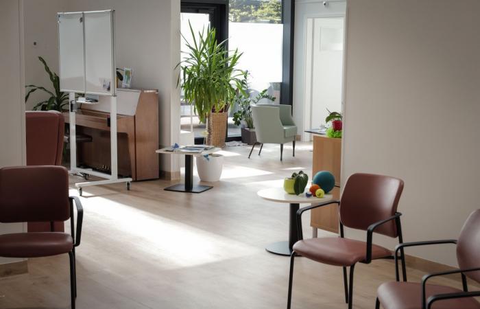 Geneva: day households, the solution to age at home