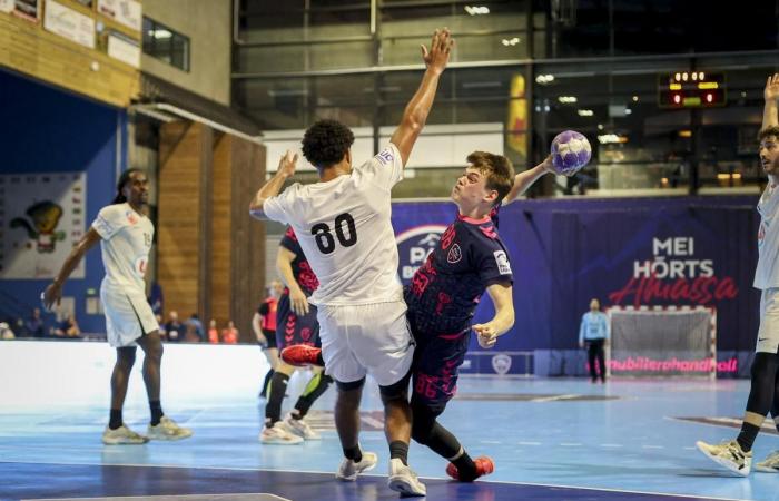 Rugby, football, basketball and handball: to meet the five promises of Sport Palois