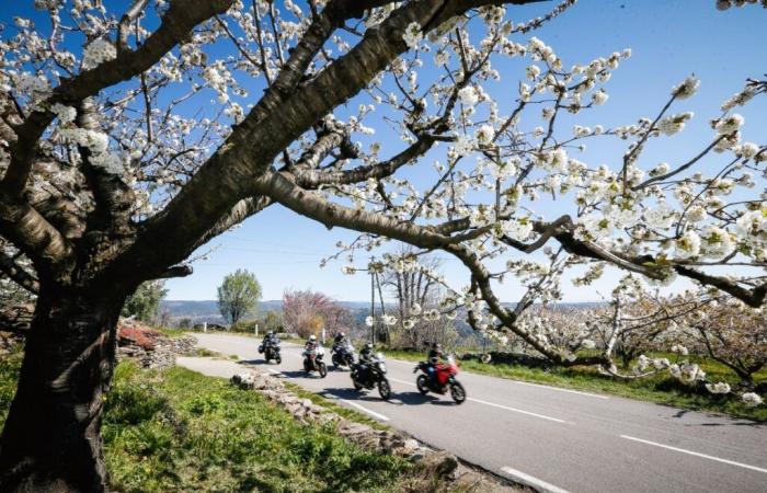 Motorcycle market 2025: Does this gloom spring announce an upturn?