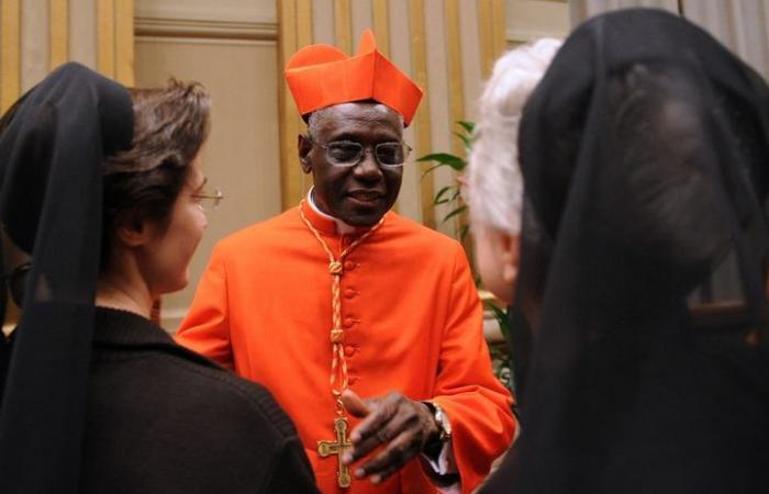 Who are the main cardinals expected to succeed François?