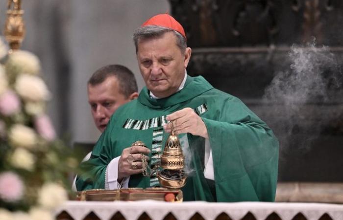 Who are the main cardinals expected to succeed François?