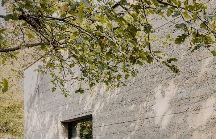 Near Antwerp, an architect -designed house for art