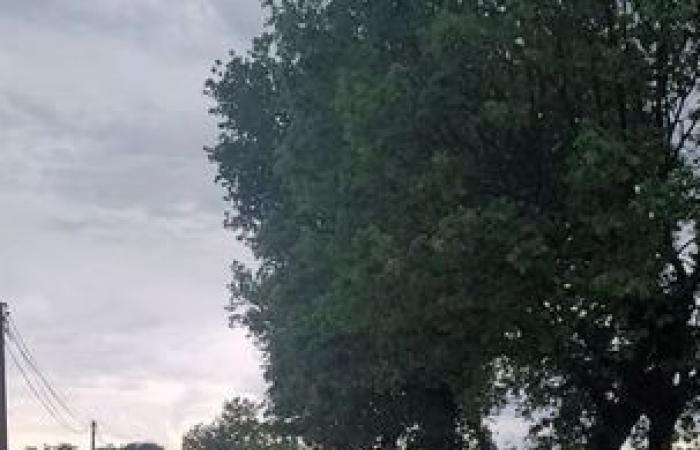 Tree falls, mudslides: Sunday evening thunderstorms left traces on the Tarn-et-Garonne road network