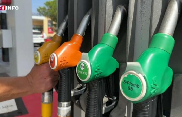 “We do not understand well”: the fall in oil prices, good unexpected news for motorists