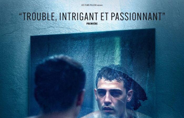 The film Noir and Sulfurux of the week