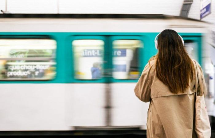 A traveler received a fine of 150 euros for carrying a green plant in the Paris metro, the RATP assumes