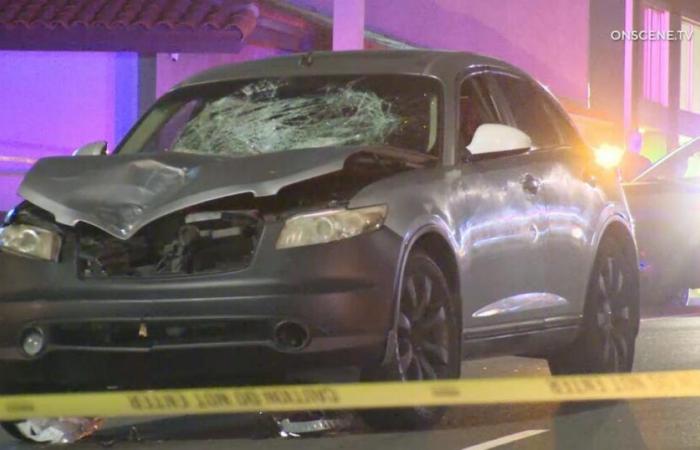 Suspect in crash that killed SoCal tennis star had suspended license, records show