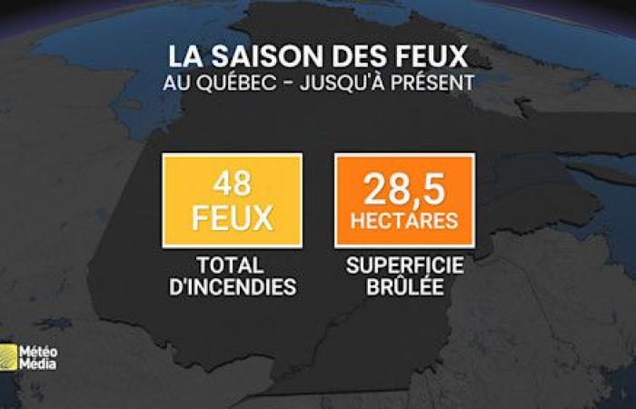 A disturbing phenomenon in spring grows in Canada