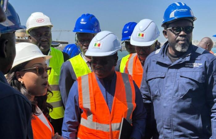 Birame Soulèye Diop: “The curse of oil can come from false information”