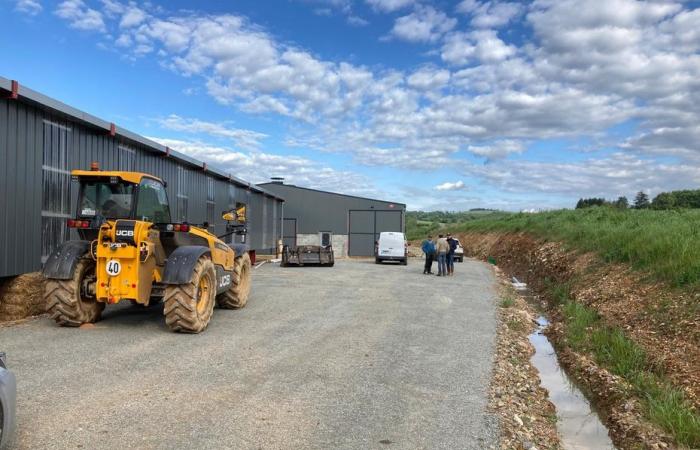 Death of 3000 lambs asphyxiated after a ventilation failure caused by the storm