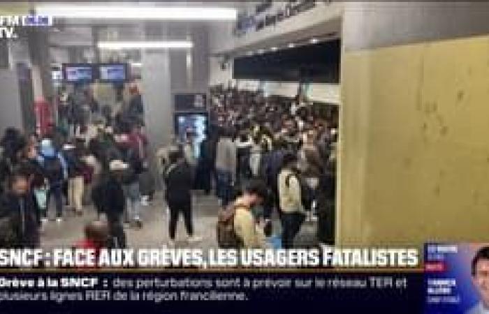 A tribute paid to the Paris mosque this morning, its burial planned in Mali