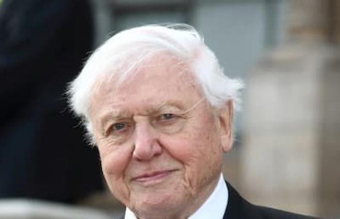 At the age of 99, David Participorough releases a new film on the oceans