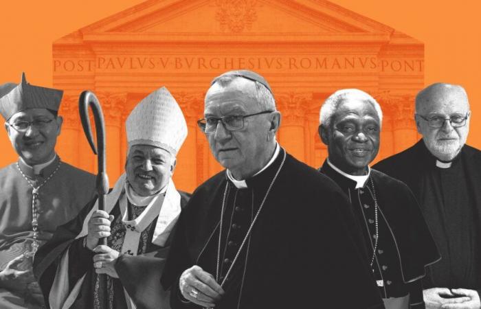 Who are the main cardinals expected to succeed François?
