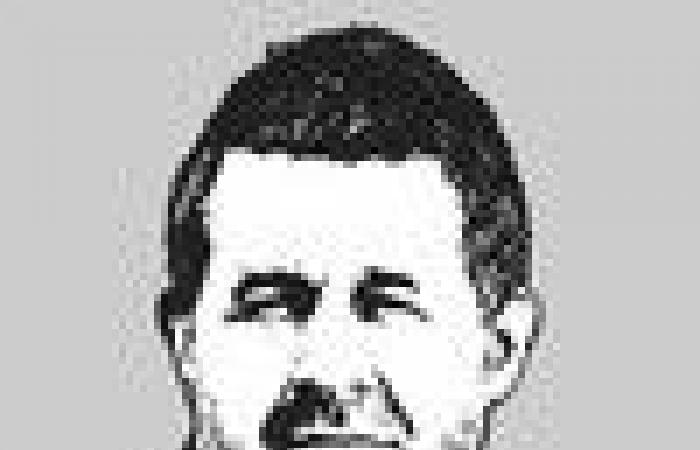 Bayer and Fischer coaches boost Swiss hockey
