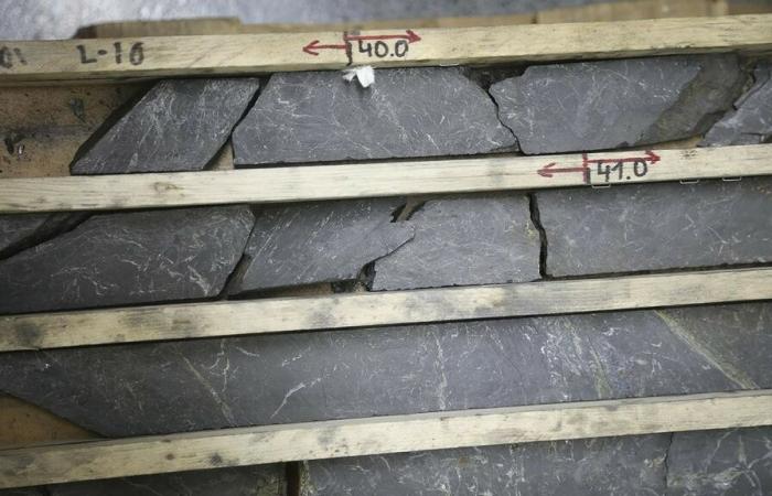 Who is Northern Graphite, the Canadian who could refine graphite for electric batteries in France
