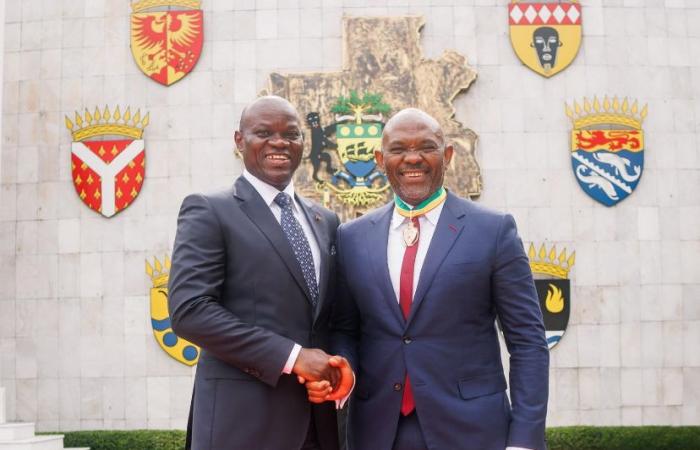 The Gabonese President honors Tony Elumelu for his commitment to the development of Africa