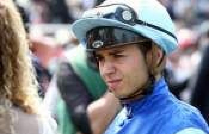 Free prognosis for the price of the mother Marie