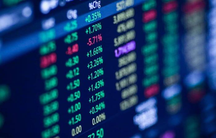 The value of the day to Wall Street – Palant Technologies had no right to make mistakes given its “irrational” valuation