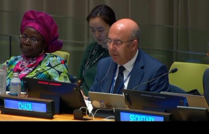 Morocco chairs the 20ᵉ session of the United Nations Forum on Forests