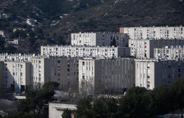 A shooting broke out at the Castellane, a lookout injured by bullets